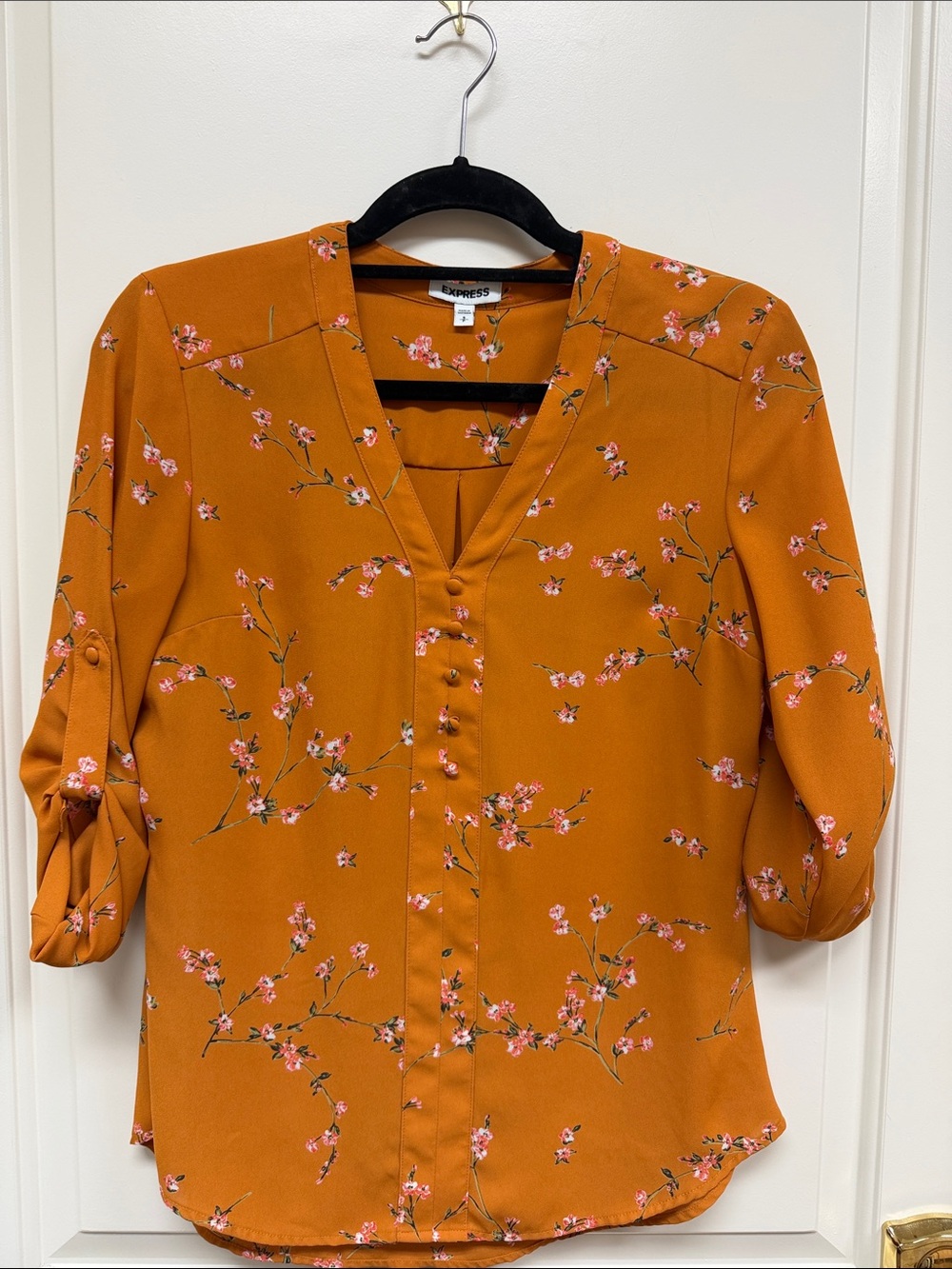 Express Burnt Orange Floral V-Neck Button Blouse